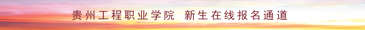 男阳茎进女阳道视频大全