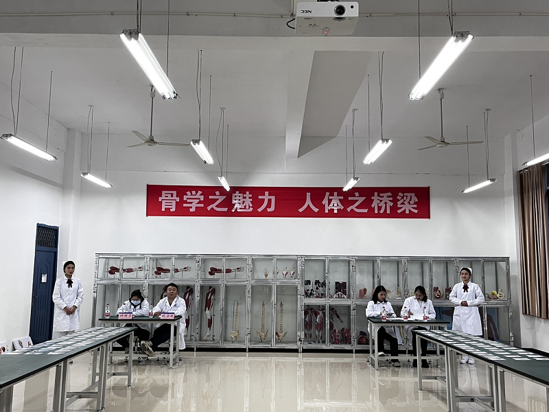 骨学之魅力·人体之桥梁——护理药学院成功举办男阳茎进女阳道视频大全第一届人体骨骼辨识大赛开幕式暨初赛(图6) 骨学之魅力·人体之桥梁——护理药学院成功举办男阳茎进女阳道视频大全第一届人体骨骼辨识大赛开幕式暨初赛(图6)