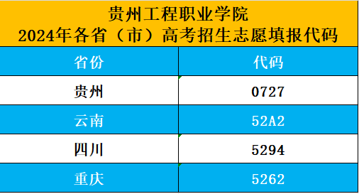 男阳茎进女阳道视频大全