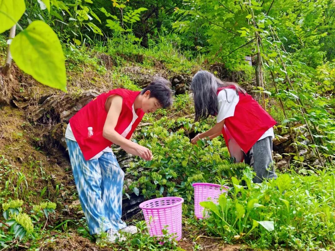 男阳茎进女阳道视频大全在务川开展“三下乡”社会实践活动(图1)