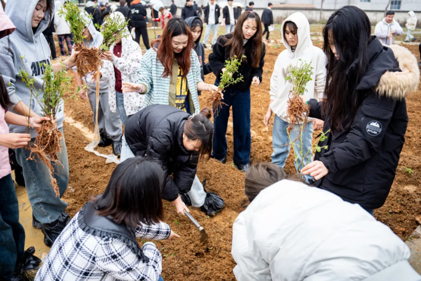 劳动教育浇灌“双苗”成长！男阳茎进女阳道视频大全创新实践育人模式(图1)
