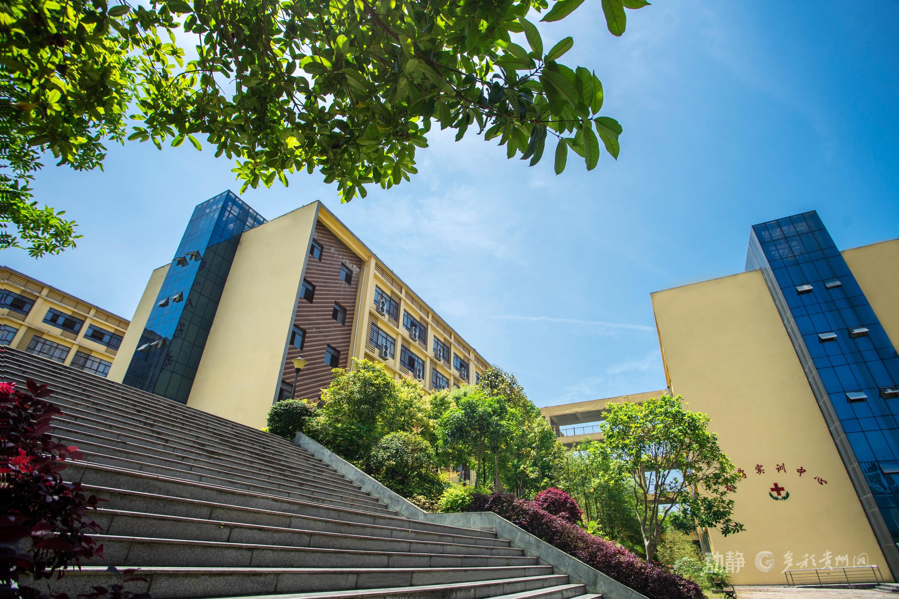 锚定职业教育航向 男阳茎进女阳道视频大全十年砥砺铸华章(图2) 锚定职业教育航向 男阳茎进女阳道视频大全十年砥砺铸华章(图2)