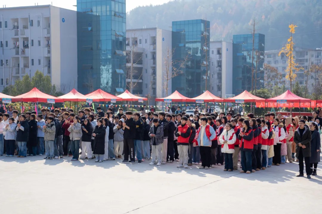 男阳茎进女阳道视频大全