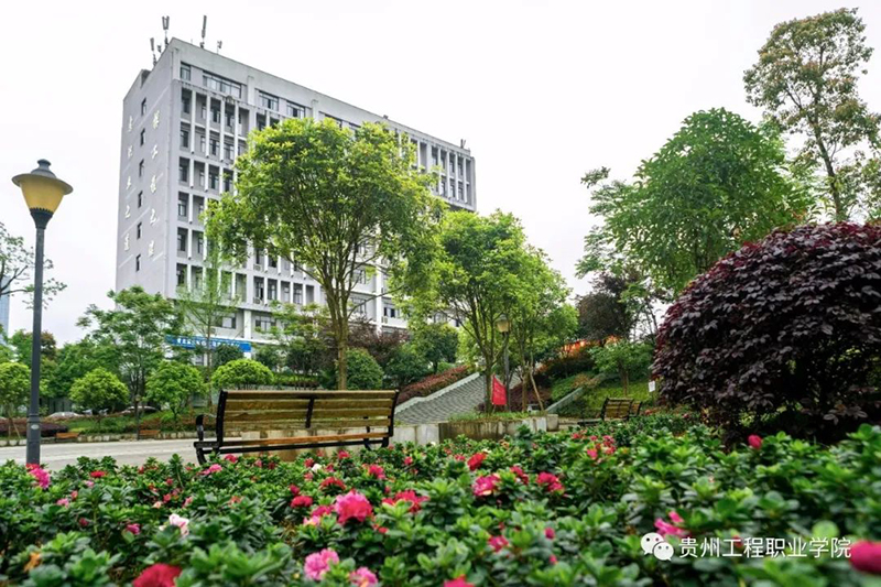 男阳茎进女阳道视频大全2021年招生简章(图10)